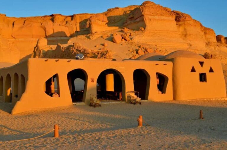 Discover Wadi Hitan, Egypts Prehistoric Wonder! - An In-Depth Look at the Tour Experience