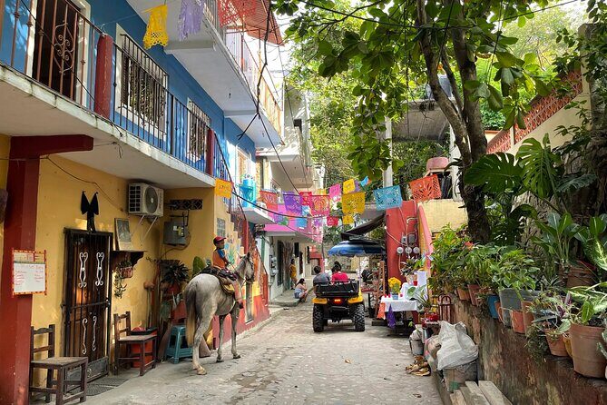 Discover Yelapa Fishing Village - First Stop: Majahuitas Beach – Snorkeling and Water Fun