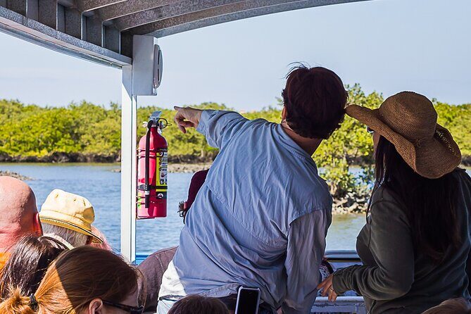 Discovery Dolphin Boat Tour - The Experience and Guides