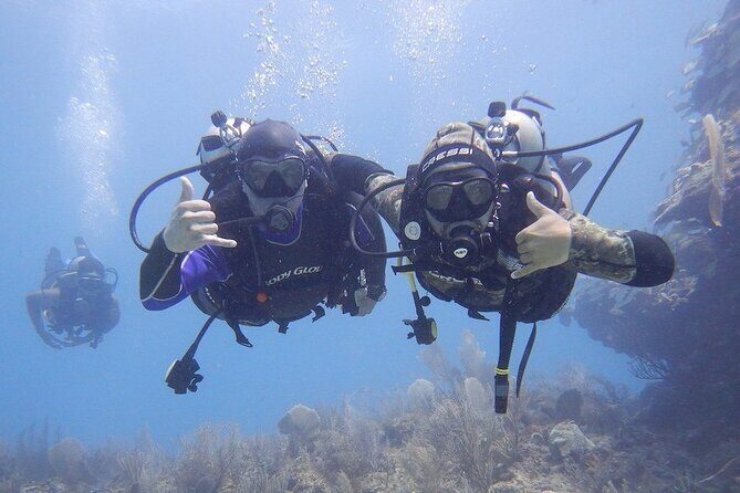 Discovery Scuba Dive. - Final Thoughts: Why This Experience Offers Real Value