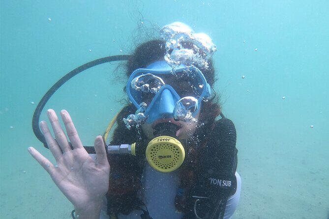 Discovery Scuba Diving in Dubai - What to Expect from the Dubai Discovery Scuba Tour