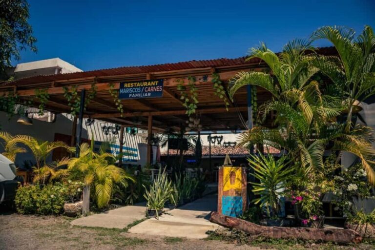 Discovery Taco Tour at Puerto Vallarta - An In-Depth Look at the Discovery Taco Tour