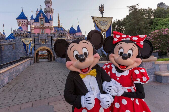 Disney and Universal Private Luxury Transfer - What to Expect on the Journey