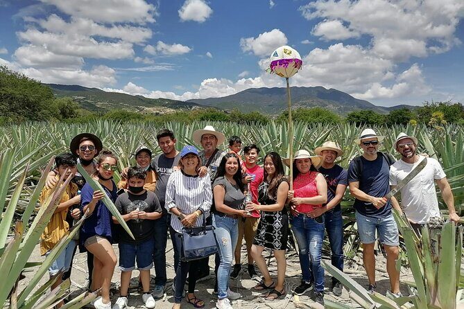 Distillery Tour and Agave Fields by Mal de Amor Mezcal - Pricing and Value