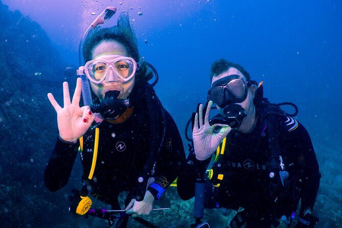 Dive trip to the coral reefs of Fujairah for certified scuba divers - The Itinerary and What You Can Expect