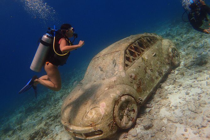 Diving in Cancun for Certified Divers | 2 Dives | All Inclusive - What to Expect on Your Cancun Diving Adventure