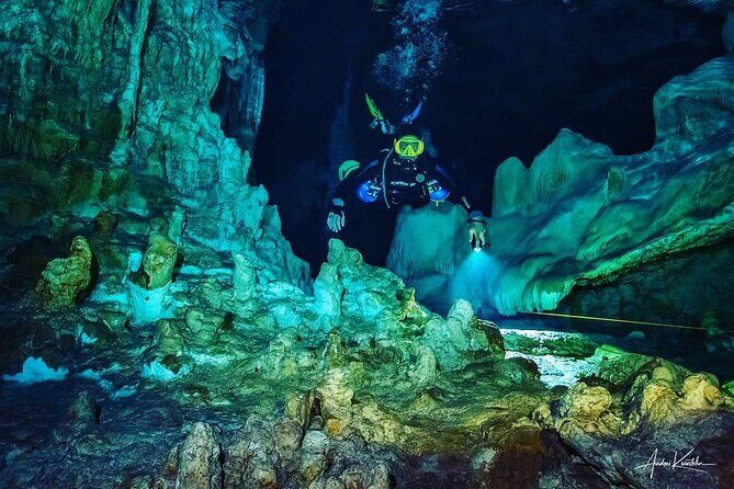 Diving in Cenotes: discovering the Mayan Underworld - The Sum Up