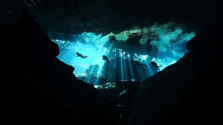 DIVING IN MAYAN CENOTES; THE LARGEST AQUIFER IN THE WORLD - Visiting Different Cenotes