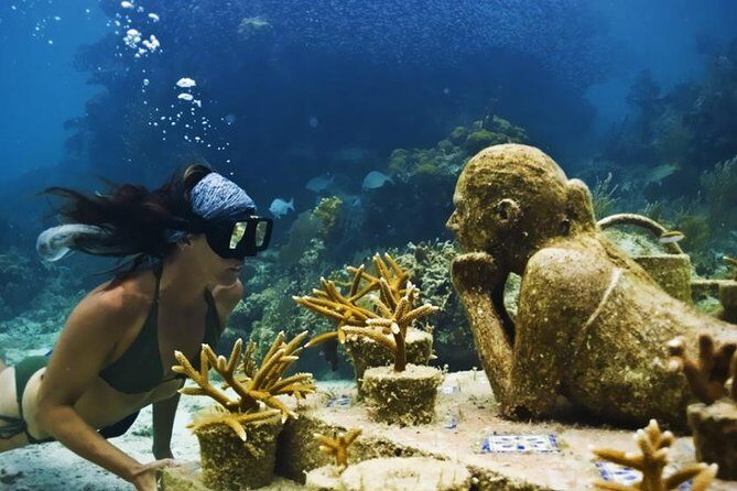 Diving + Muse - Who Should Consider This Tour?