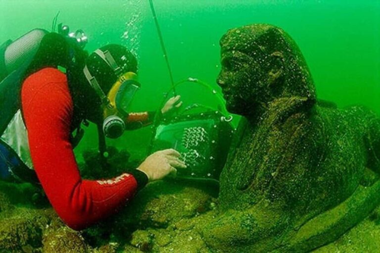 Diving Tour Exploring Alexandria's Underwater Secrets - What to Expect from Your Alexandria Underwater Adventure