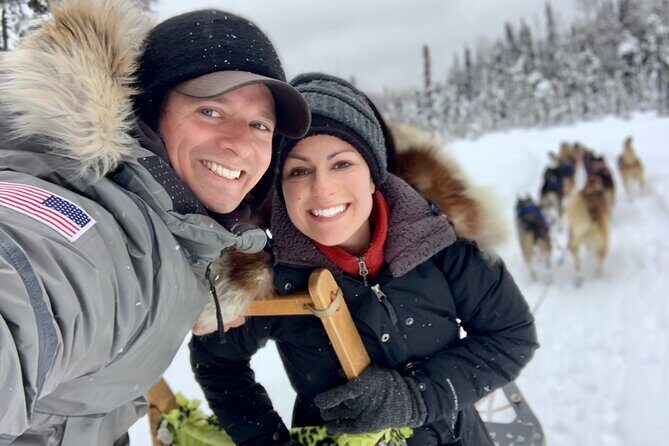 Dog Sledding Adventure in Willow, Alaska - The Guides and Their Role