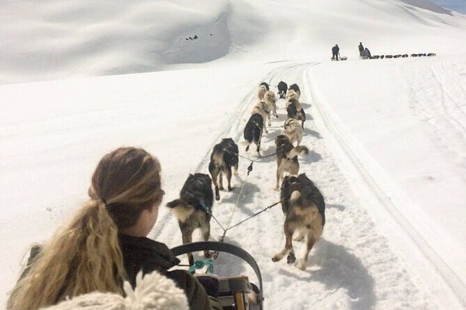 Dog Sledding and Animal Encounters Tour from Anchorage - Final Thoughts