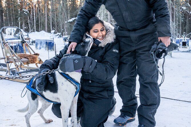 Dogsled and Reindeer Day Trip to Borealis Basecamp - FAQ