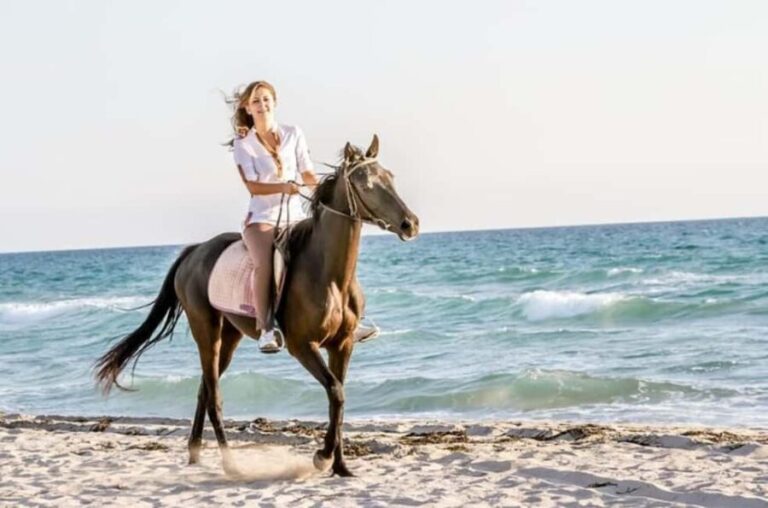 Doha : Arabian Horse Ride Experience With Transfer - The Scenic Rewards
