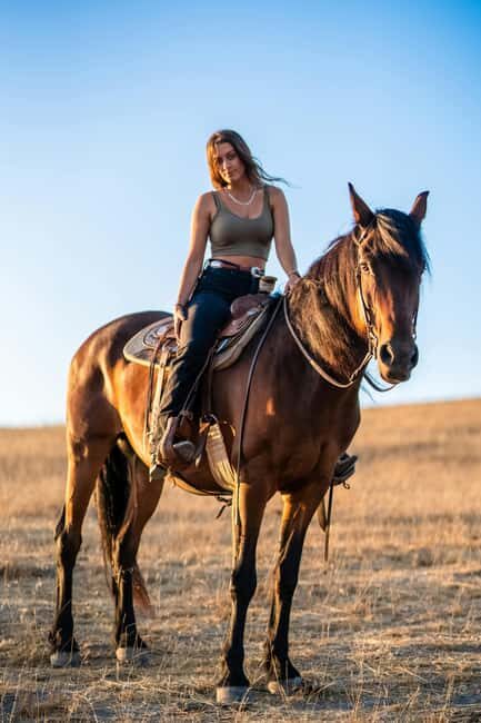 Doha: Arabian Horse Riding in the Desert or by the Sea - The Sum Up: Is This Experience Worth It?