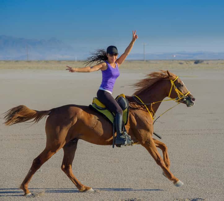 Doha: Arabian Horse Riding on the Seashore with Pickup - The Itinerary: What to Expect