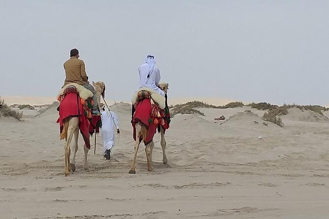 Doha Combo City And Half Day Desert Safari Tour No Hidden cost - FAQs