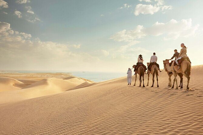 Doha Combo City Tour and Desert Safari - Who Will Love This Tour?