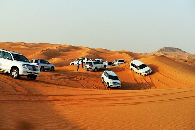 Doha: Combo City Tour And Desert Safari - Who Is This Tour Best For?