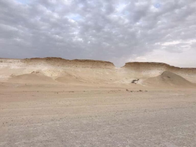 Doha Day Trip: West Qatar Day Trip to Zekreet & Dukhan Beach - What’s Included & What’s Not
