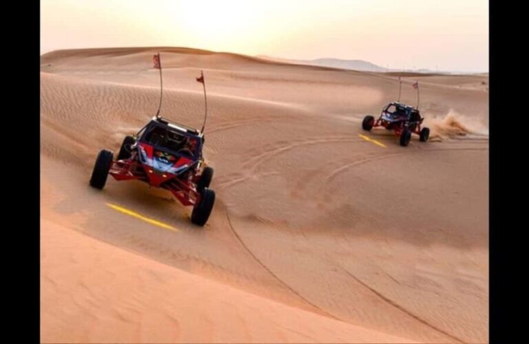 Doha: Desert Buggy Ride, Camel Ride, Dune Bashing, sandboard - What You Can Expect from the Tour
