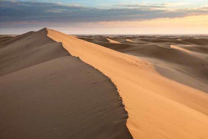 Doha Desert Quad Bike adventure with group, and Sand dune Driving - The Value of This Experience