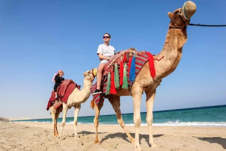 Doha Desert Safari, Camel Ride, Sandboarding & Inland Sea - The Practical Details