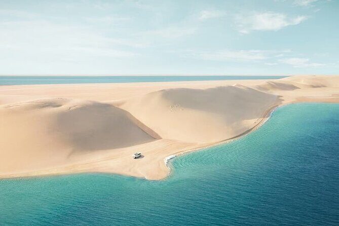 Doha: Desert Safari: Dune Bashing, Quad Bikes & Camel Rides - The Sum Up