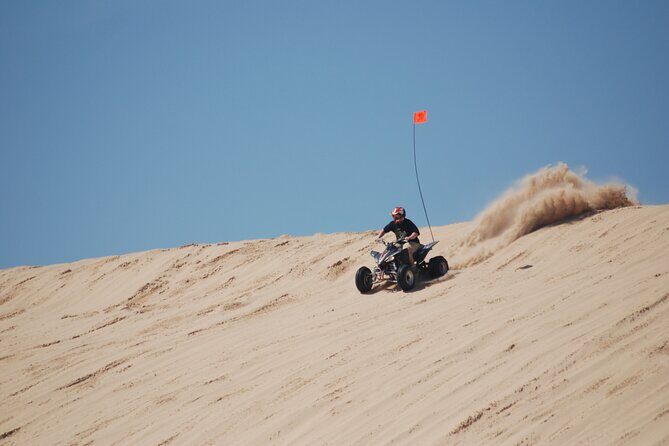 Doha Desert Safari Dune bashing,Sandboarding,CamelRide,Inland Sea - Who Should Book This Tour?