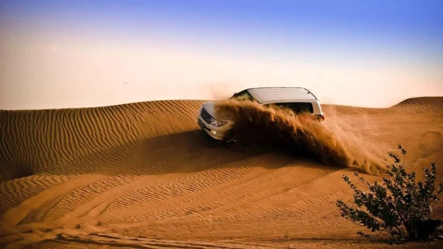 Doha Desert Safari, Sandboarding, Camel Ride and Inland sea