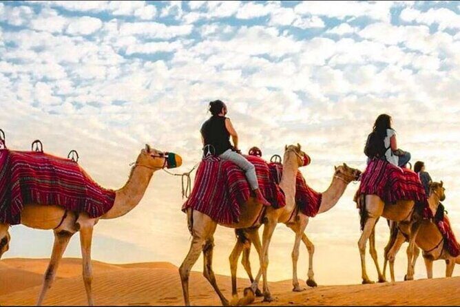 "Doha Desert : Safari, Sandboarding, Camel Ride & Inland Sea" - Possible Drawbacks or Considerations