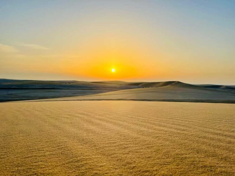Doha: Desert Safari Sunrise Tour/Sunset Tour - The Real Value of This Tour
