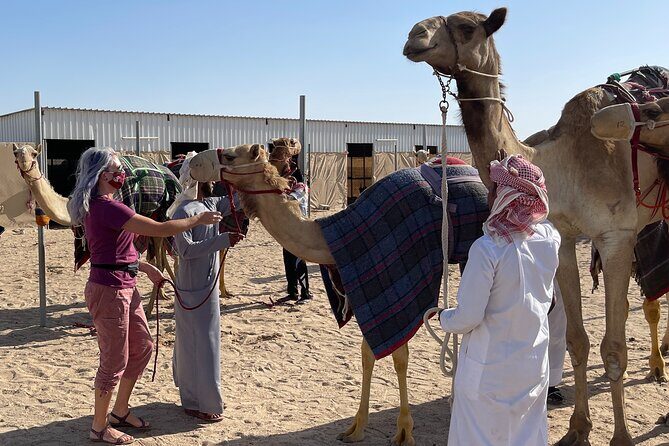 Doha Desert Safari with Camel Ride, Sand Boarding,Inland Sea Tour - The Scenic Drive Back and Optional Extras