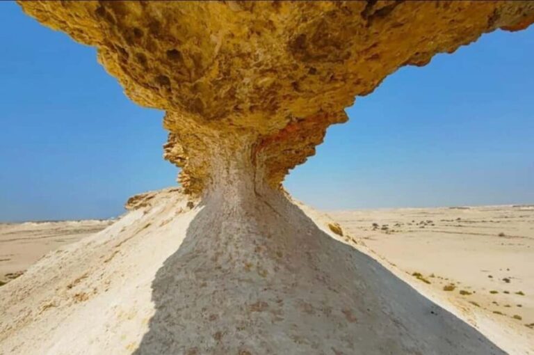 Doha: Full-Day North and West Tour with Forts and Qatari - Authentic Experiences and Practical Insights