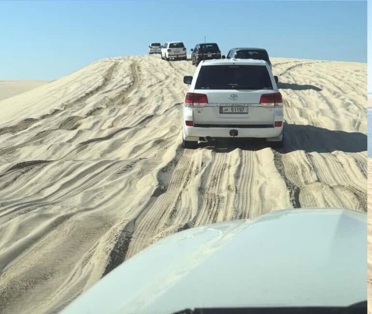 Doha: Guided Desert Safari Tour with Pickup & Drop Service - The Sum Up