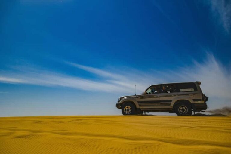 Doha: Half-Day Desert Safari with Camel Ride & Sandboarding - Transport and Group Dynamics