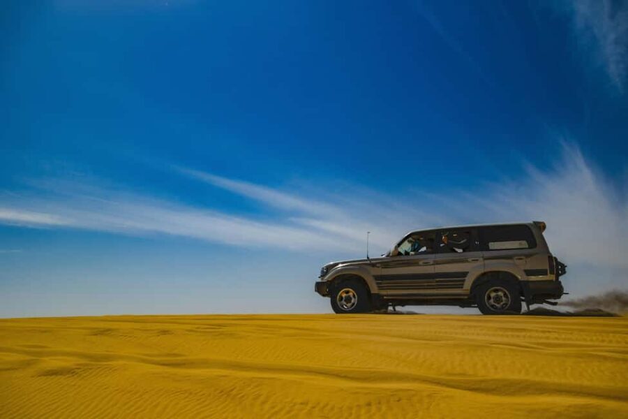 Doha: Half-Day Desert Safari with Camel Ride & Sandboarding - Transport and Group Dynamics
