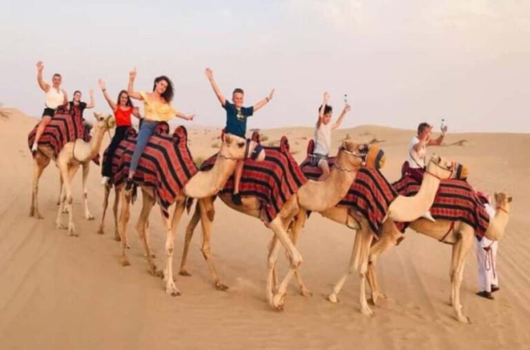 Doha: Inland Sea Tour, Desert Safari/Camel, All Activities - Who Would Love This Tour?