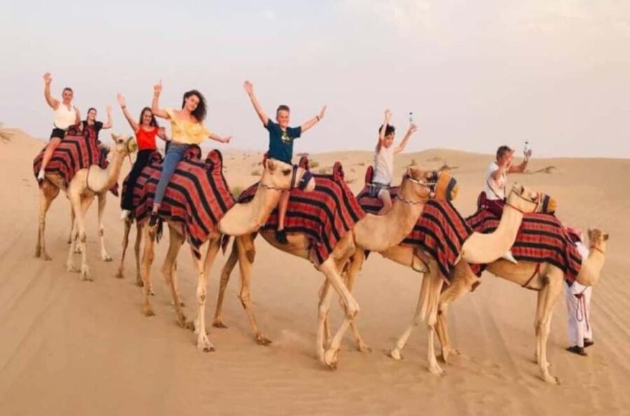 Doha: Inland Sea Tour, Desert Safari/Camel, All Activities - Who Would Love This Tour?