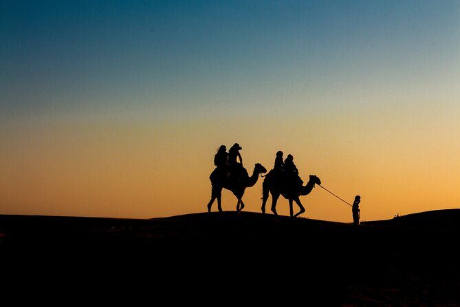 Doha Night Desert Safari Adventure - Transportation & Practical Details