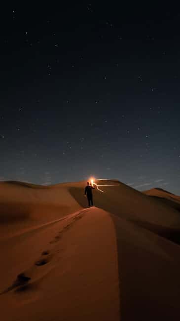Doha: Night Desert Safari, Stargazing, and Camel Ride - The Value of the Experience