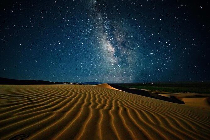 Doha Night Desert Safari Stargazing Camel Ride and Dune Bashing - Authentic Experiences and Guided Expertise