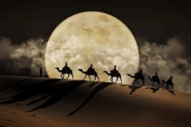 Doha Night Desert Safari Stargazing Dune Drive Camel Ride - FAQs