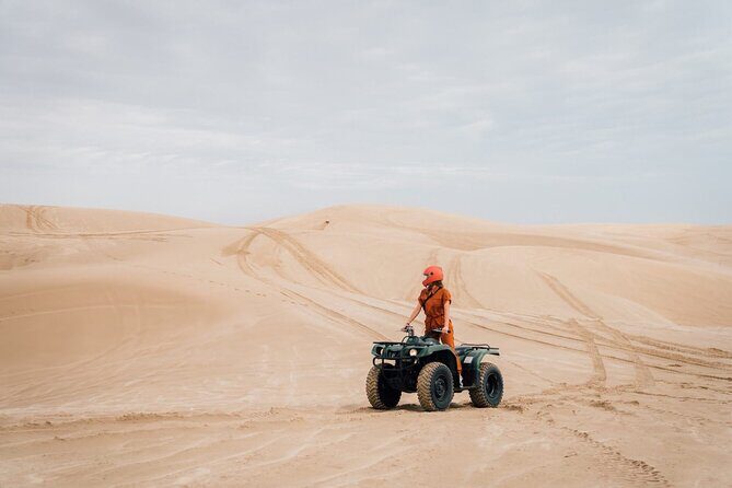 Doha-Night Desert Safari with Sand Board and Camel Ride - What to Expect During Dune Bashing and Sandboarding