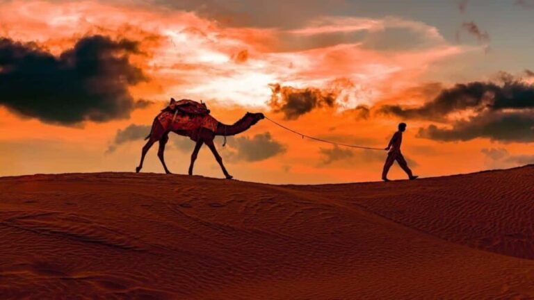 Doha: Night safari & STARGAZING-free camel ride, falcon, ATV - Stargazing in the Desert: A Magical Moment