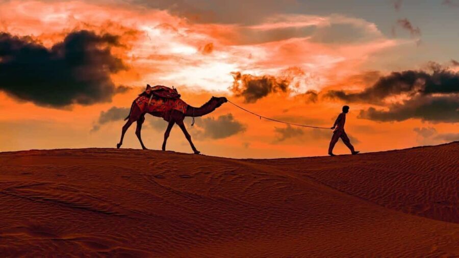 Doha: Night safari & STARGAZING-free camel ride, falcon, ATV - Stargazing in the Desert: A Magical Moment