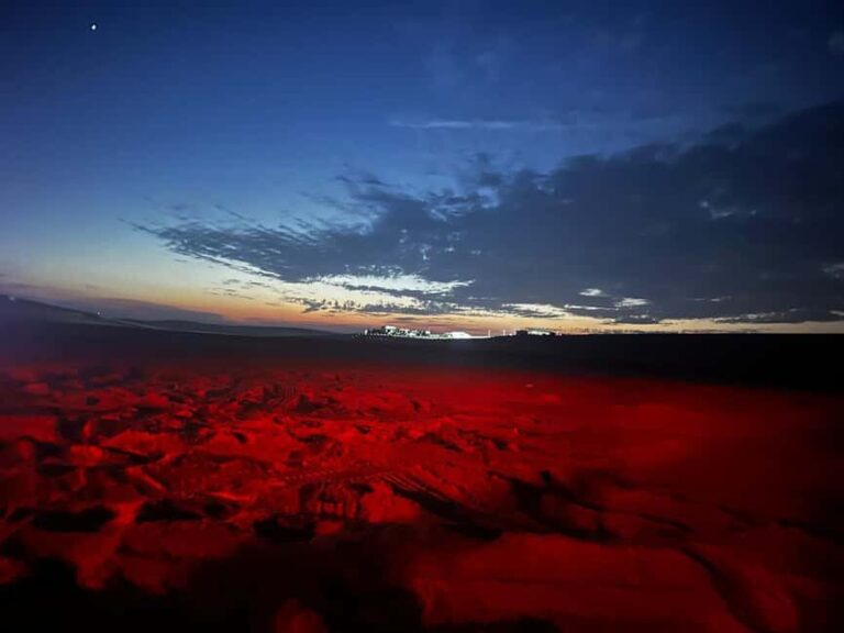 Doha: Night Safari with Dune Bashing and Camel Ride - What’s Included and What’s Not
