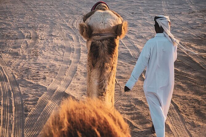 Doha Overnight Desert Safari dinner/breakfast included - Why Many Travelers Rave About This Tour