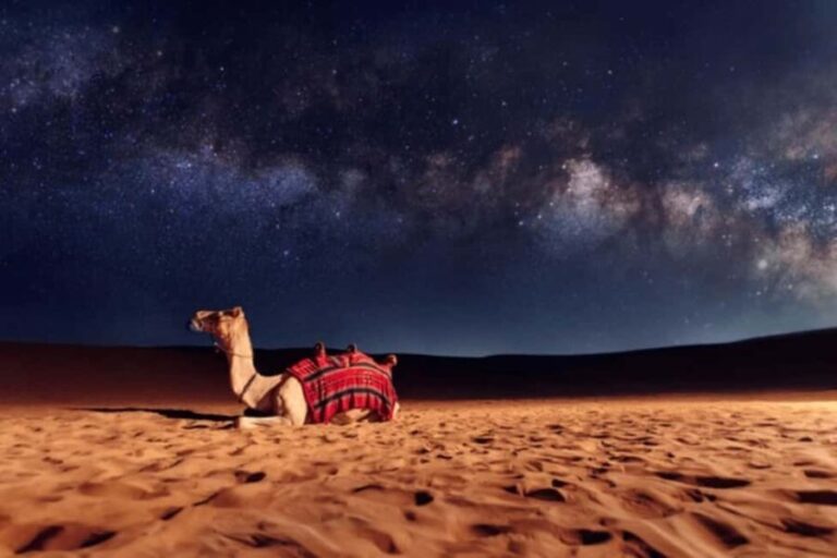 Doha: Private Desert Safari at Night with Stargazing - Logistics and Practicalities