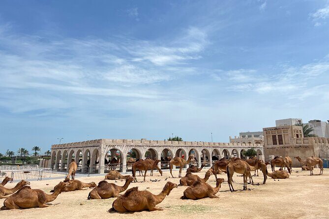 Doha Private Guided City Tour With Airport Transfer - Who Will Love This Tour?